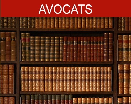 Google Ads pour les avocats