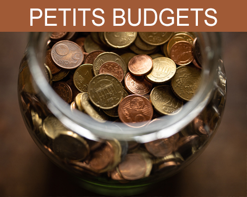 Google Ads pour les petits budgets