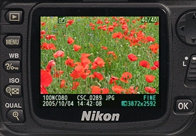 Moniteur LCD du Nikon D80