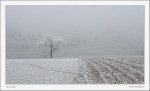 Photographier les Paysages de neige par Pierre Kessler